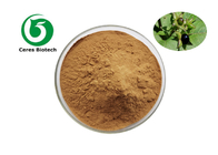 1.5% Belladonna Leaf Natural Herbal Extract Powder For Medical Pharmaceutical Grade