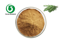 100% Pure Rosmarinus Officinalis Leaf Extract Powder Cosmetic Grade