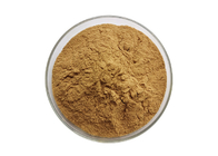 10:1 Semen Cassia Seed Extract Powder Herbal Extract Cassia Powder