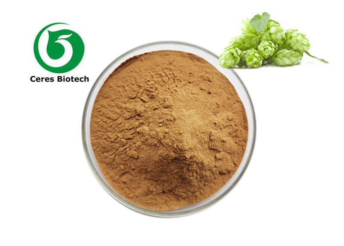 Food Grade Humulus Cone Herbal Extract Powder 100% Purity