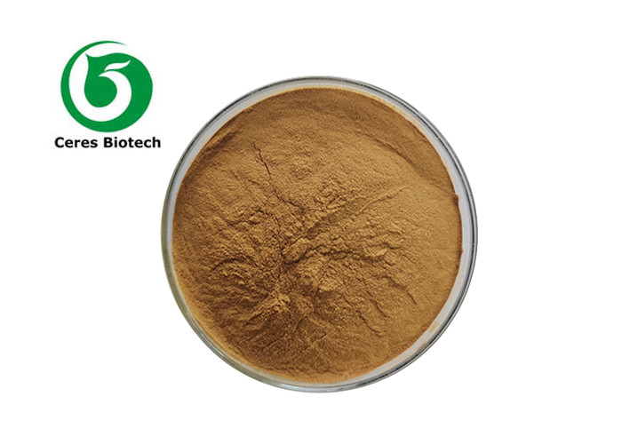 Natural DHM Dihydromyricetin Powder 5% 20% Hovenia Dulcis Extract Powder