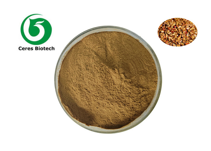 10:1 Semen Cassia Seed Extract Powder Herbal Extract Cassia Powder