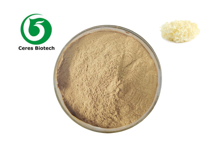 Food Grade Herbal Tremella Mushroom Extract Powder 30% Polysaccharides