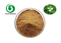 100% Pure Natural Adhadota Vasica Flowers And Leaf Extract Powder