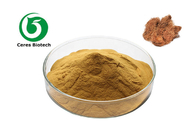 Natural Stiliet Stigmata Maydis Herbal Extract Powder For Health Care Products