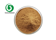 100% Pure Cynodon Dactylon Root Extract Powder For Health Care