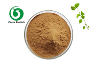 Pure Melissa Officinalis Extract Powder Food Grade For Health Care