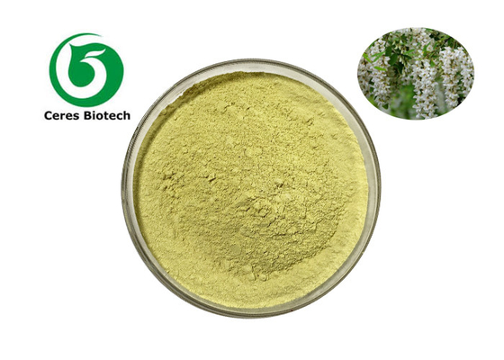 CAS 153-18-4 Herbal Extract Powder Rutin NF11 95% Natural UV Powder