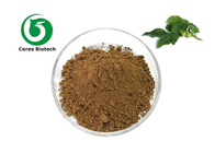 Food Grade Natural Walnut Leaf Extract Powder Antibacterial