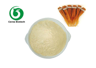 Panax Ginseng Extract Powder With 5% 20% 80% Ginsenosides