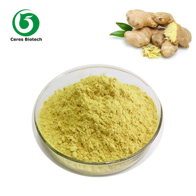 Health Food Ginger Herbal Extract Powder Gingerols CAS 23513-14-6