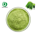 Organic Wheat Grass powder,High quality Wheatgrass Powder 100% natural