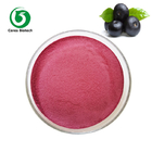 Water Soluble Fruit Juice Powder Organic Acai Berry Powder