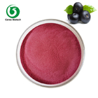 Organic Natural Acai Berry Powder 90% For Health Care