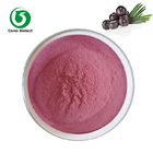 Natural Organic Fruit Juice Acai Berry Powder Food Grade 90%
