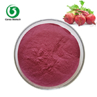 Herbal Extract Organic Dried Red Beetroot Powder Food Grade