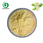 Flower Buds Herbal Extract Powder 98% Quercetin Powder Healthcare Product