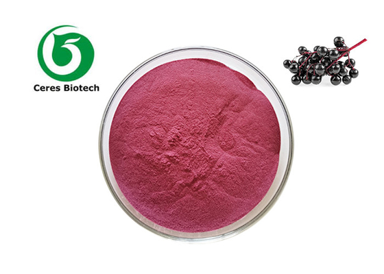 Food Grade Elderberry Fruit Powder 25% Anthocyanins Elderberry Fruit Extract