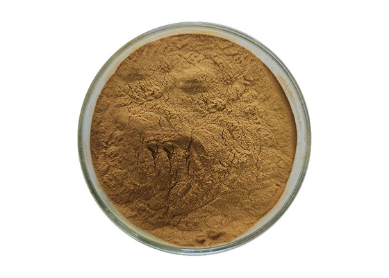 Characteristic Odor Sugar Maple Extract for Health Care Needs and Solutions