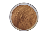 Food Grade Lions Mane Extract Powder Hericium Erinaceus Extract Powder