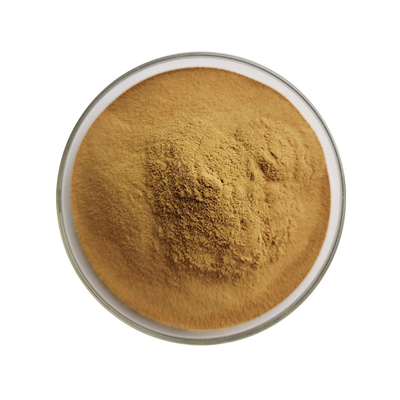 Food Supplement Sugar Maple Extract with Particle Size 100% Though 80 Mesh
