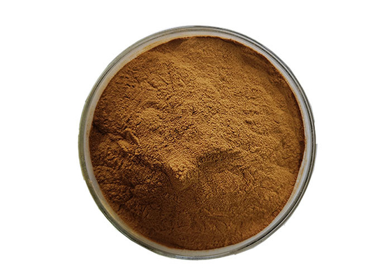 Unleash the Health Benefits of Sugar Maple Extract from Botanic Source Astragalus Membranaceus