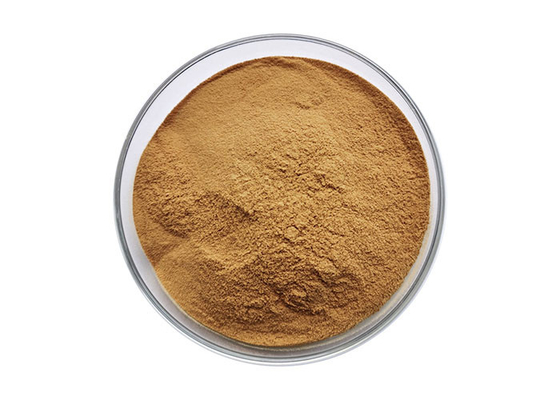 Apply For Health Care Herbal Extract Powder 2 Years Shelf Life Sample Worldwide