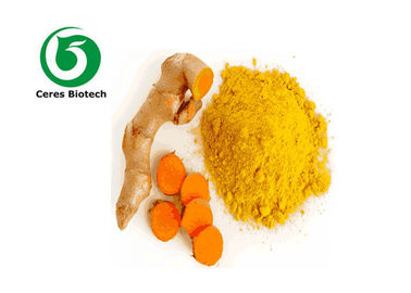 Pharmaceutical Grade Turmeric Curcumin Extract 95% Curcumin Powder High Efficiency