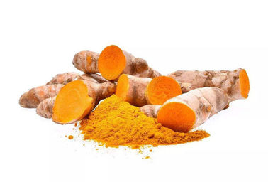 Pharmaceutical Grade Turmeric Curcumin Extract 95% Curcumin Powder High Efficiency