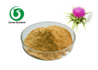 Water Soluble Silymarin Milk Thistle Powder Silymarin 40% Natural For Health Care