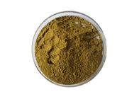 Gbe 761 Ginkgo Biloba Leaf Extract 24% Flavones 6% Lactones Solvent Extraction