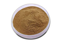 24 Flavone 6 Lactones Ginkgo Biloba Extract Powder Traditional Chinese Medicine Ethanol Extraction