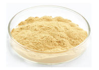 Food Grade Ginseng Extract Powder Ginsenoside 40% For Neurosism Improvement