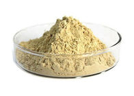Panax Natural Ginseng Extract 80% Light Yellow Powder Pharmaceutical Food Grade