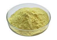 Natural Horny Goat Weed Epimedium Extract Powder Icariin 90% Light Yellow