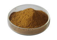 Brown Powder Epimedium Extract Icariin Pharmaceutical Grade 10% High Efficiency