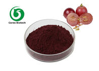 Pure Organic Grapeseed Extract Proanthocyanidine Opc 95% Food Grade Antioxidant