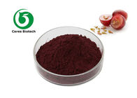 Pure Natural Grape Seed Extract Proanthocyanidins 95% Medical / Food Grade