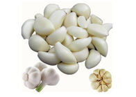 White Garlic Extract Powder Natural Allicin 10% Hplc Uv Test No Side Effect