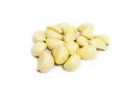 Off White Garlic Extract Powder Anti Biotic Anti Microbial Non - Toxic