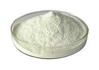 Off White Garlic Extract Powder Natural Food Grade Allicin 1% For Anti Microbial