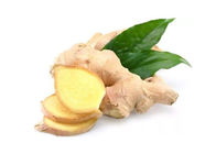 Herbal Extract Powder Ginger Extract Powder 1% 5% 10% Gingerols for Health Care