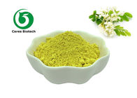 Gmp Factory Herbal Extract Powder Sophora Japonica Extract Quercetin 99%