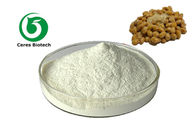 Herbal Extract Powder Natto Extract Nattokinase