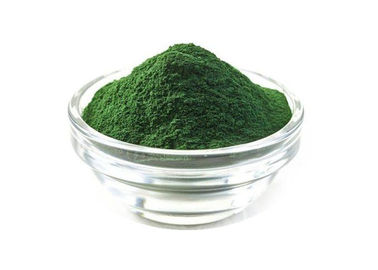 Health Care Herbal Extract Powder Organic Chlorella Powder 60% Protien