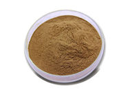 Brown Herbal Extract Powder Nettle Leaf Extract 20/1 For Health Care Pharm Grade