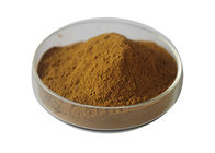 Stinging Nettle Herbal Extract Powder Silica 1% For Health Care Pharmaceutical