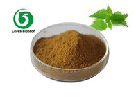 Brown Herbal Extract Powder Nettle Leaf Extract 20/1 For Health Care Pharm Grade