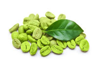 Green Coffee Bean Extract Chlorogenic 50% Cosmetics Food Field 10%-60%
