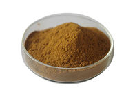 Hypolipidemic Organic Astragalus Powder Astragalus Polysaccharide 30% Brown